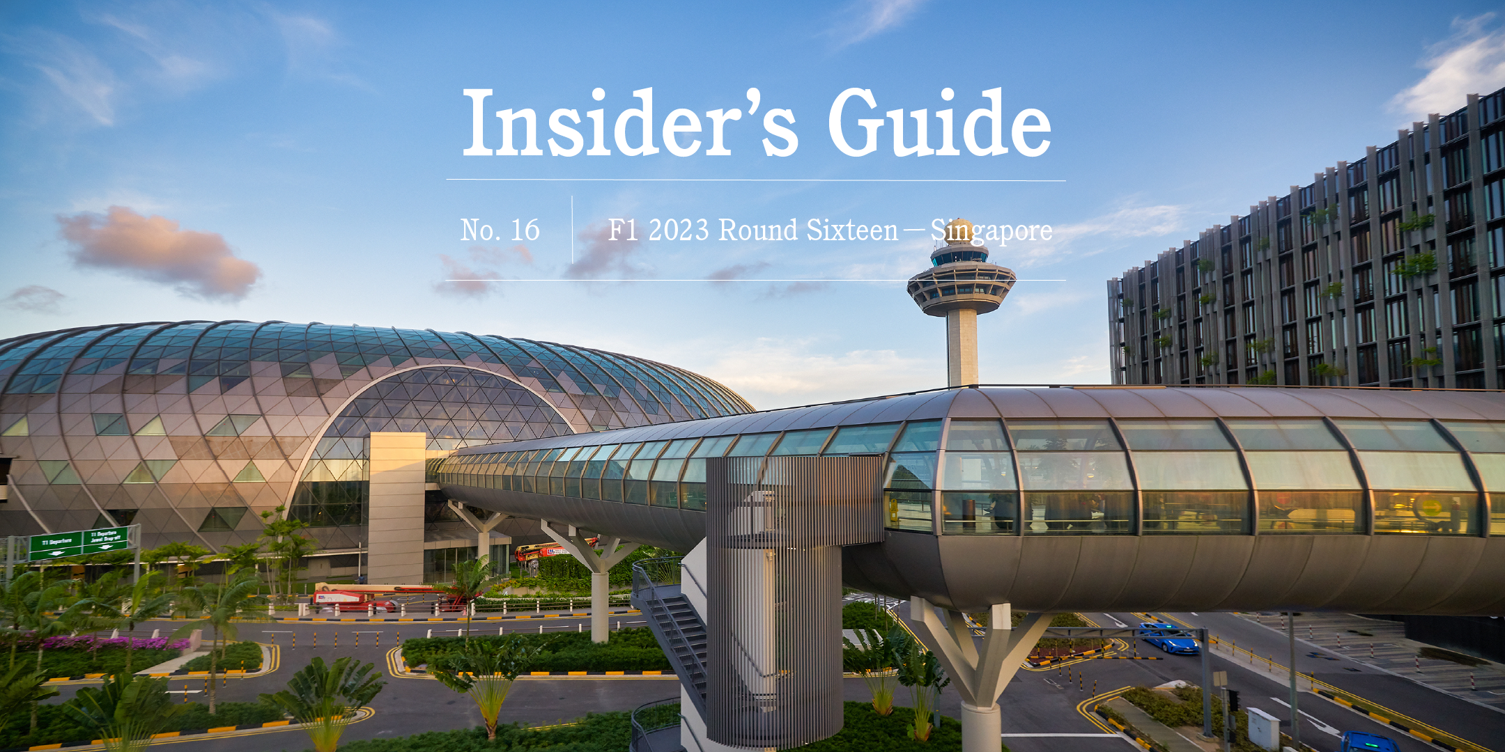 Singapore Changi Airport Guide