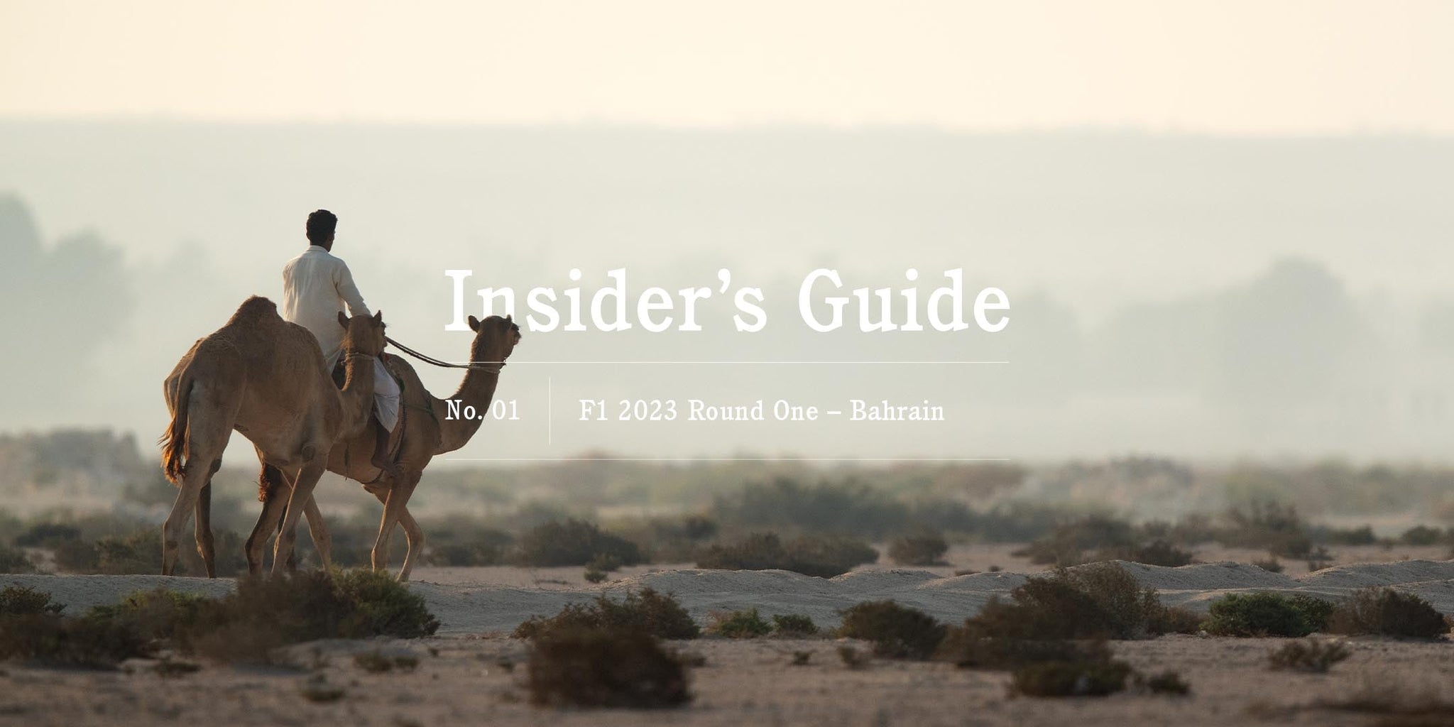 F1 2023 Insider’s Guide No. 01 – Bahrain - GLOBE-TROTTER