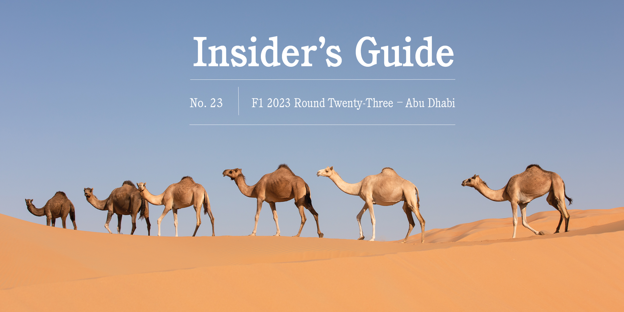 F1 2023 Insider's Guide No. 23  – Abu Dhabi