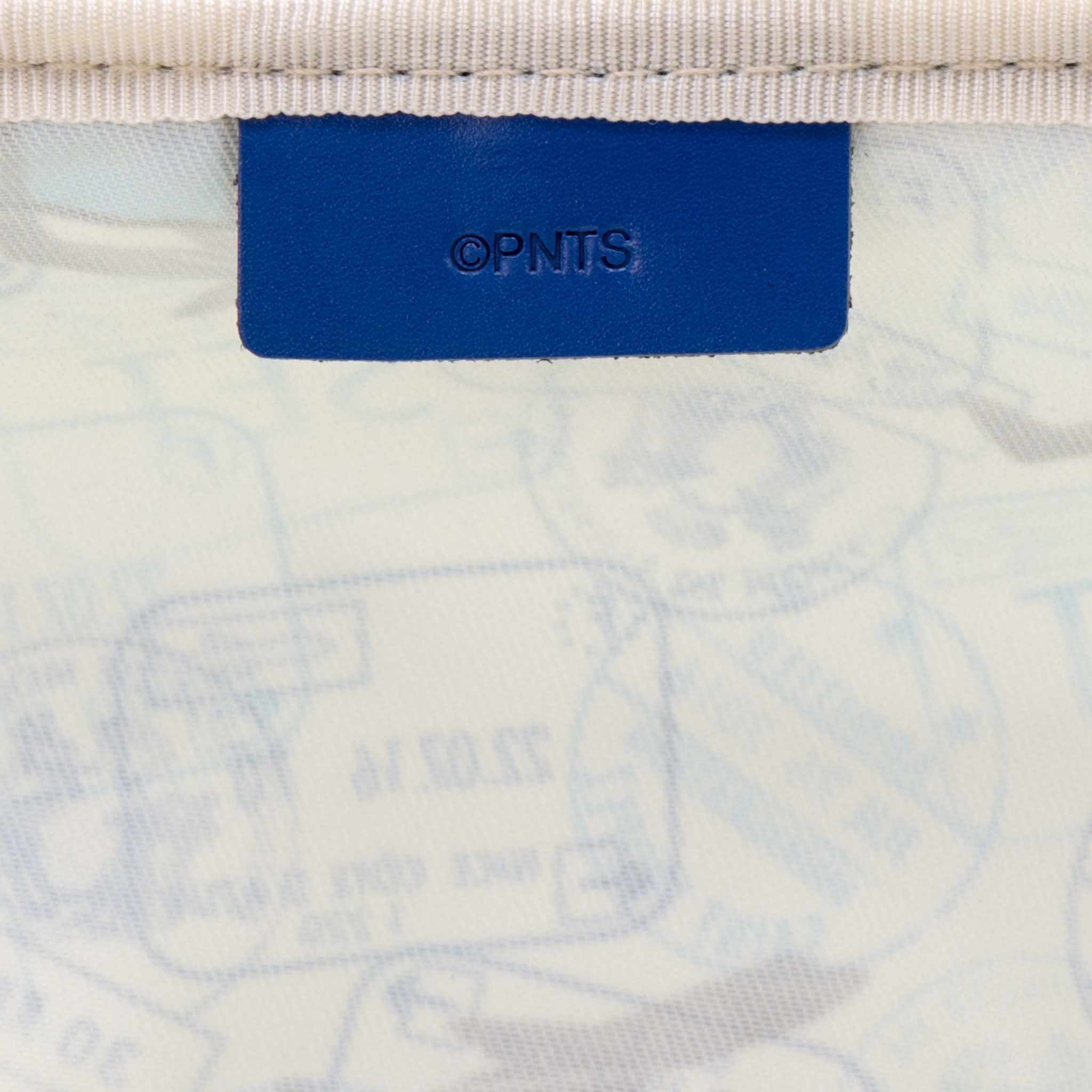 Peanuts · Large Packing Cube | Royal Blue